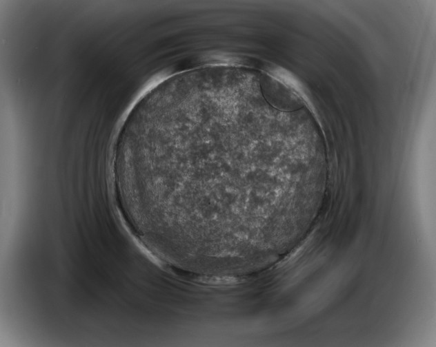 X0000085271235200703301847