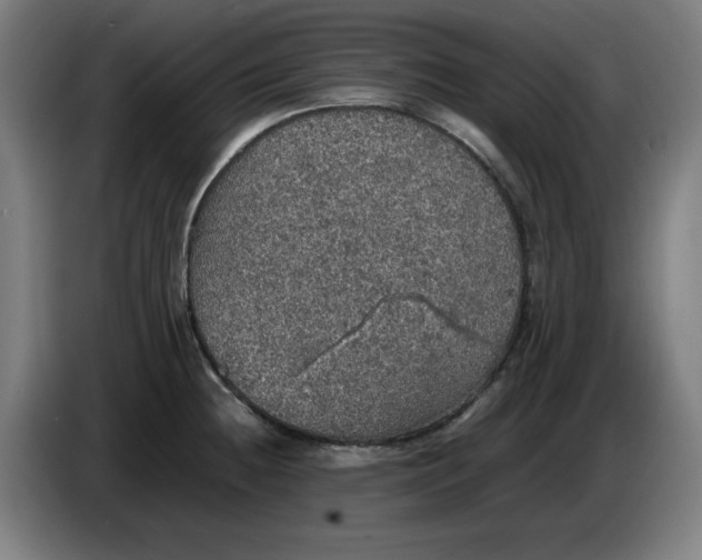 X0000085271236200703301847