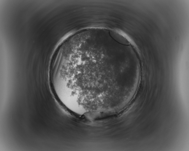 X0000085271237200703301847