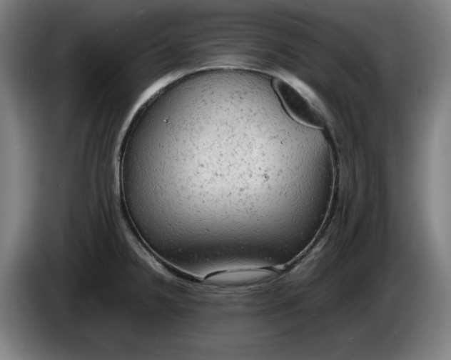 X0000085271238200703301847