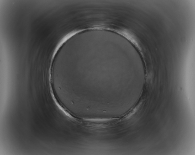 X0000085271239200703301847