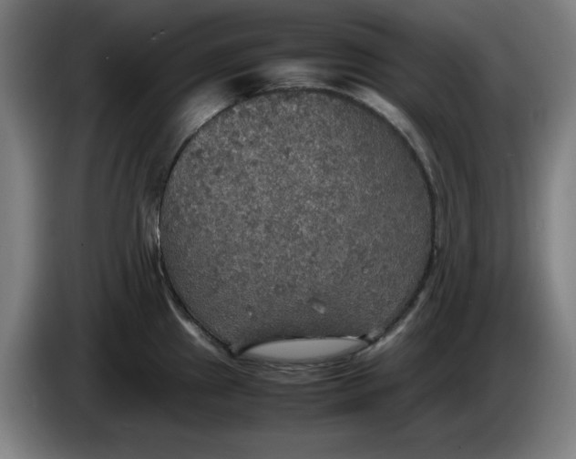 X0000085271241200703301847