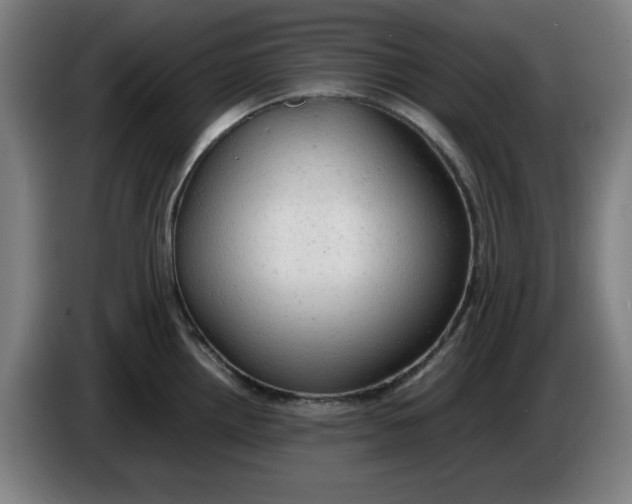 X0000085271242200703301847