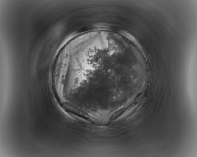 X0000085271243200703301847