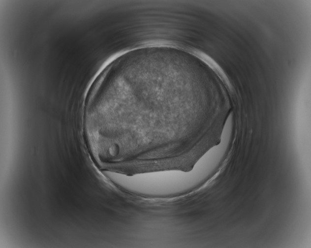 X0000085271244200703301847