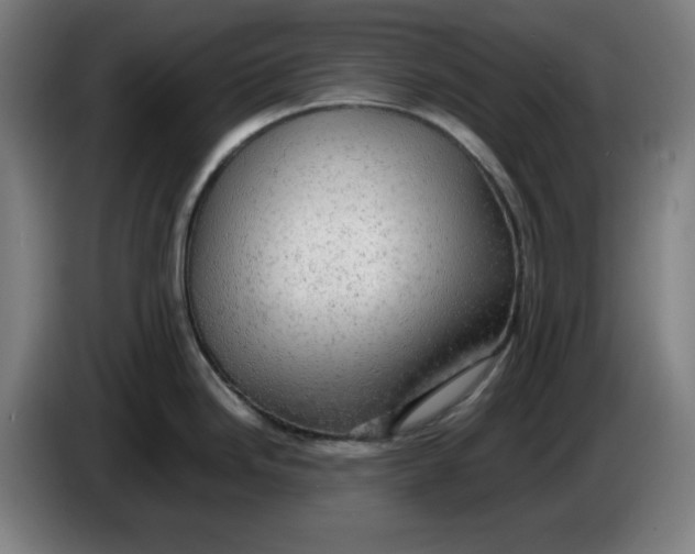 X0000085271246200703301847