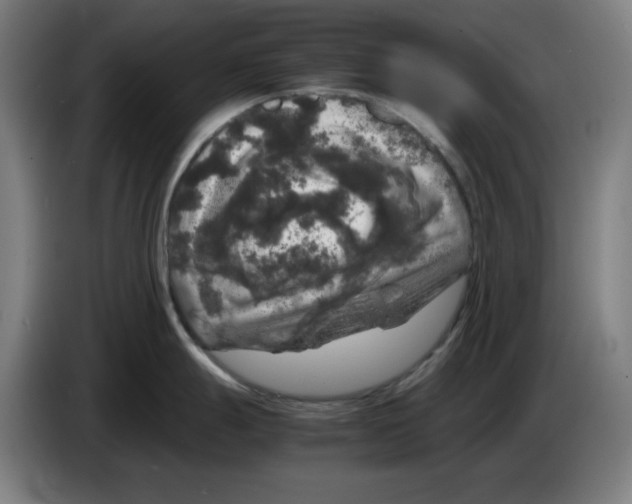 X0000085271247200703301847