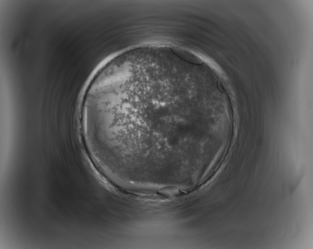 X0000085271248200703301847