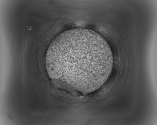 X0000085271249200703301847