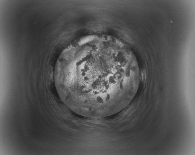 X0000085271251200703301847