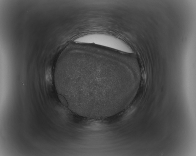 X0000085271252200703301847