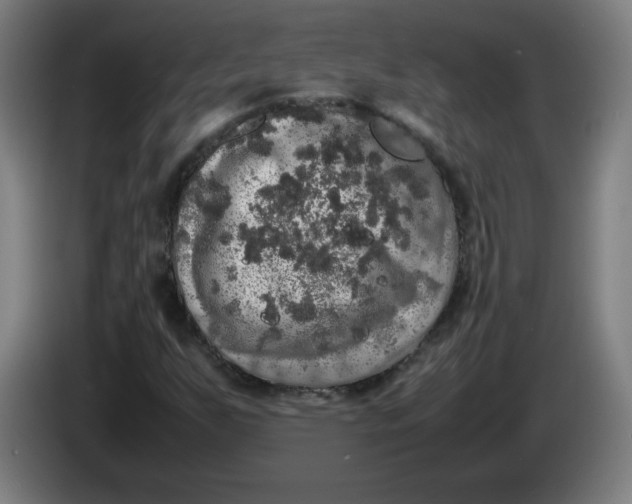 X0000085271255200703301847