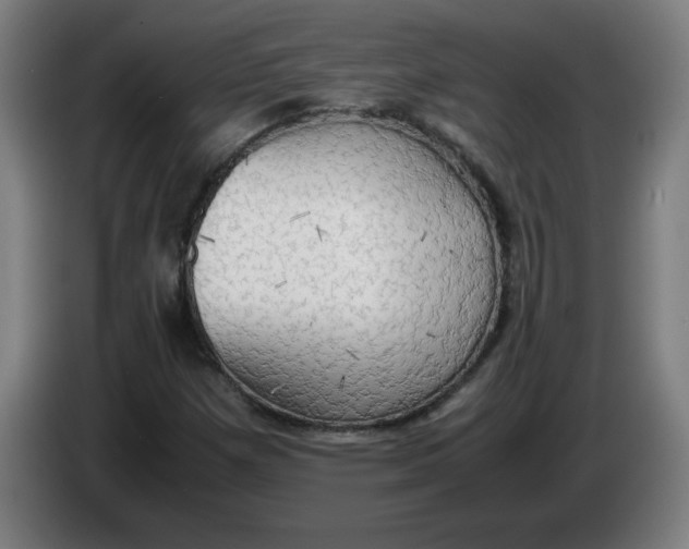 X0000085271257200703301847