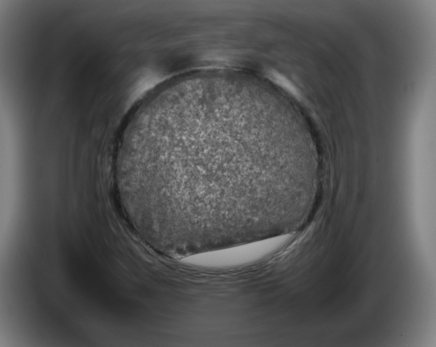 X0000085271259200703301847