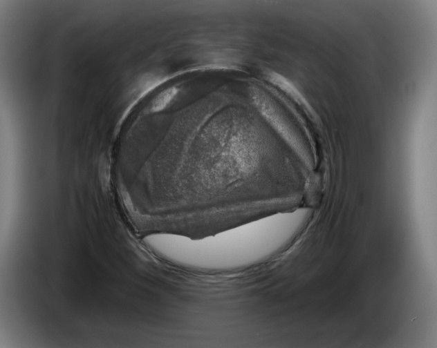 X0000085271260200703301847