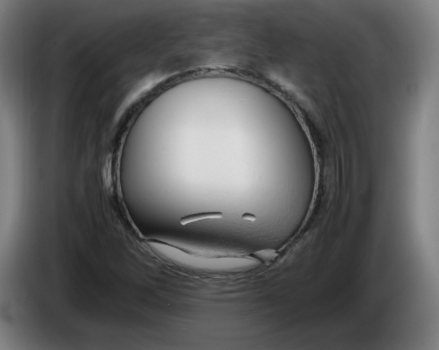 X0000085271262200703301846