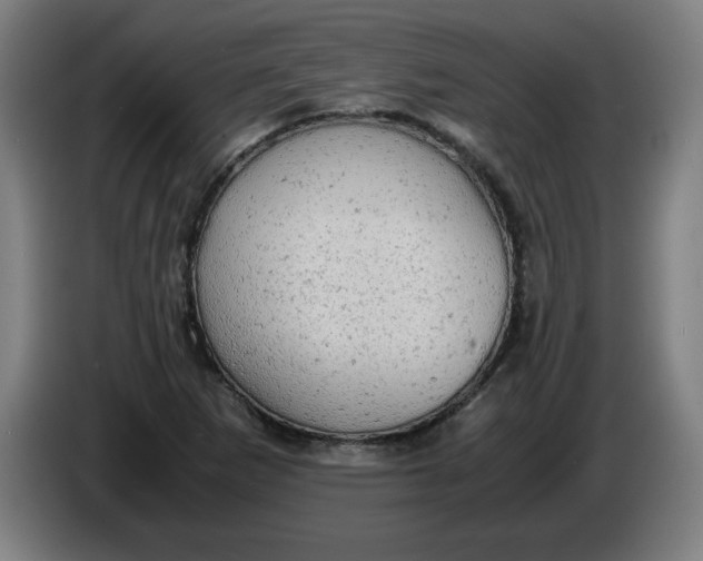 X0000085271265200703301846