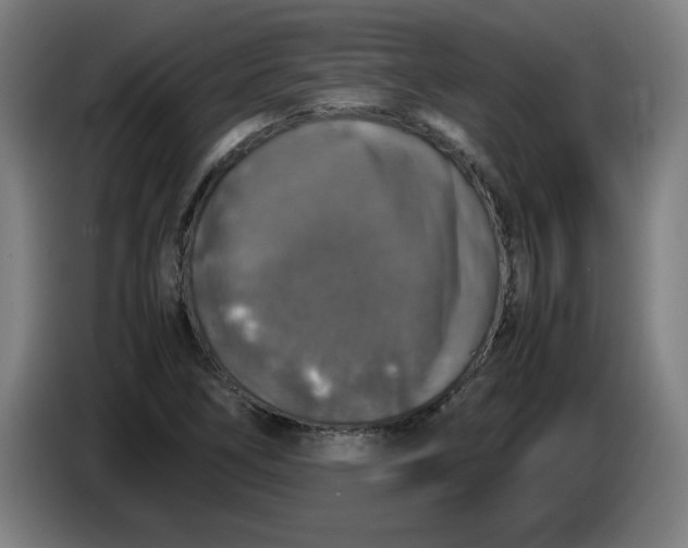 X0000085271266200703301846