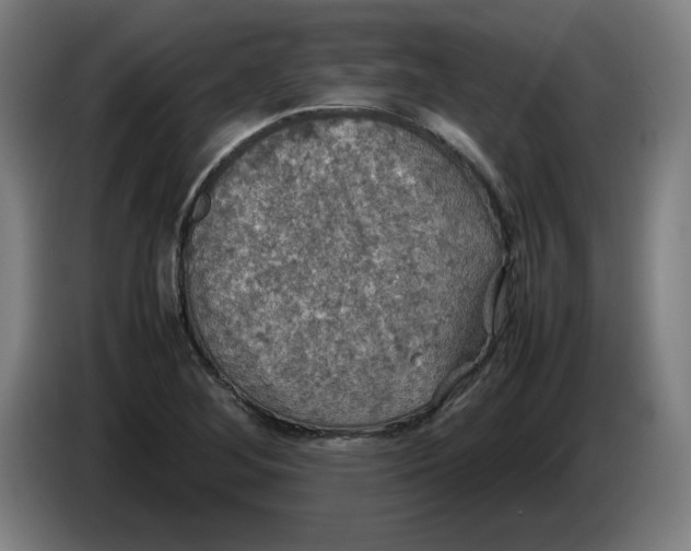 X0000085271268200703301846