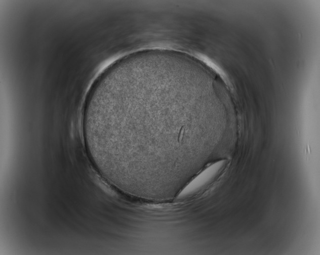 X0000085271272200703301846