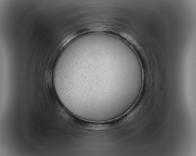 X0000085271273200703301846