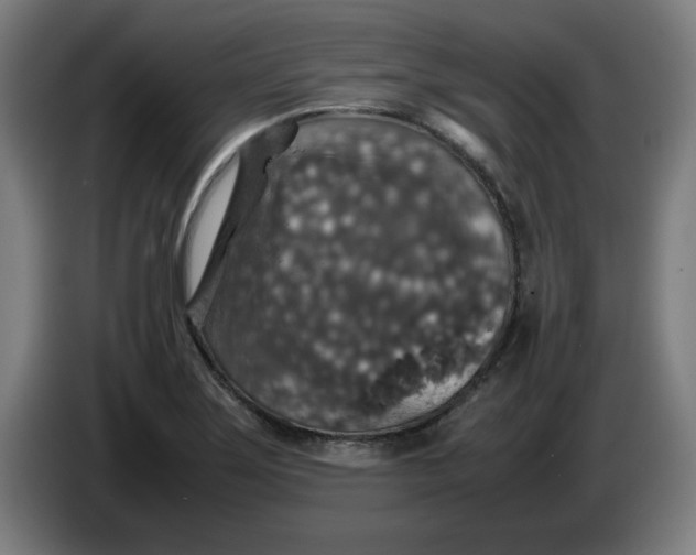 X0000085271275200703301846