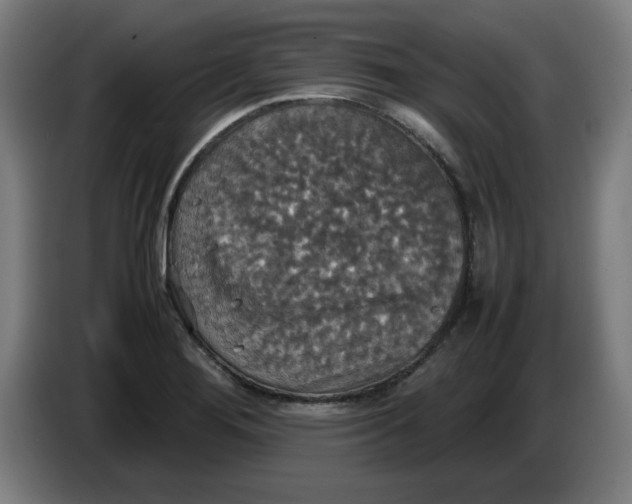 X0000085271276200703301846