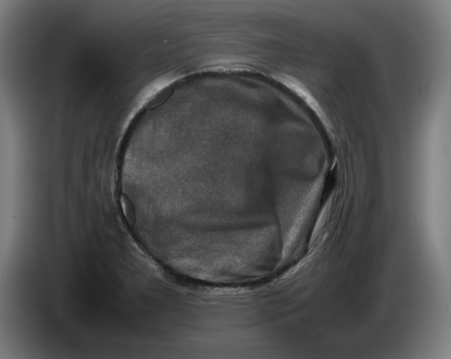 X0000085271277200703301846