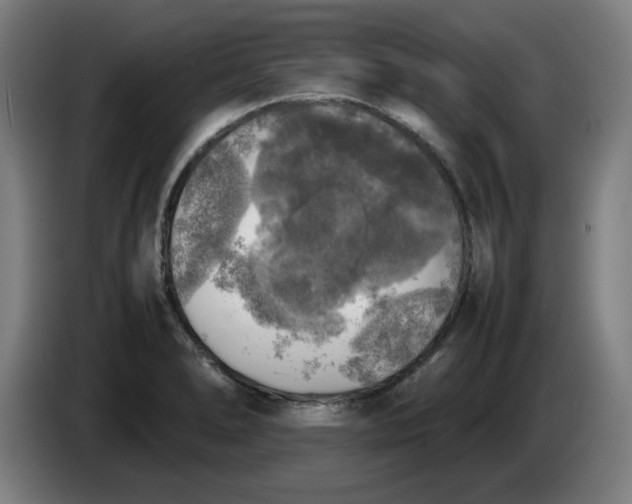 X0000085271278200703301846