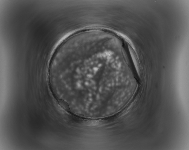 X0000085271279200703301846