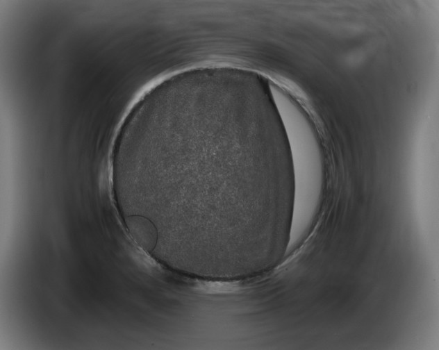 X0000085271280200703301846