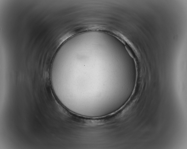 X0000085271281200703301846