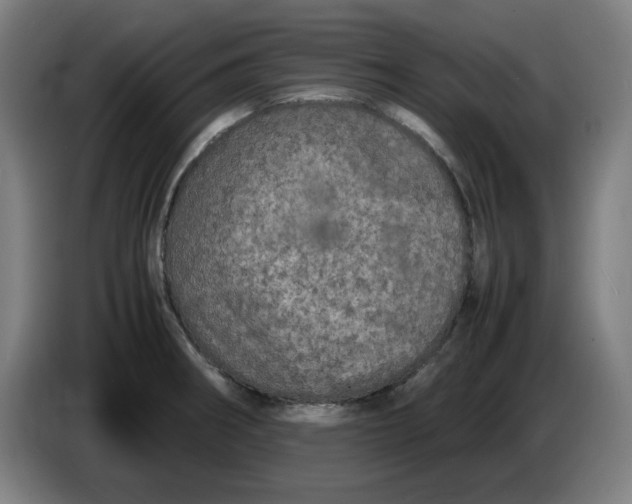 X0000085271282200703301846