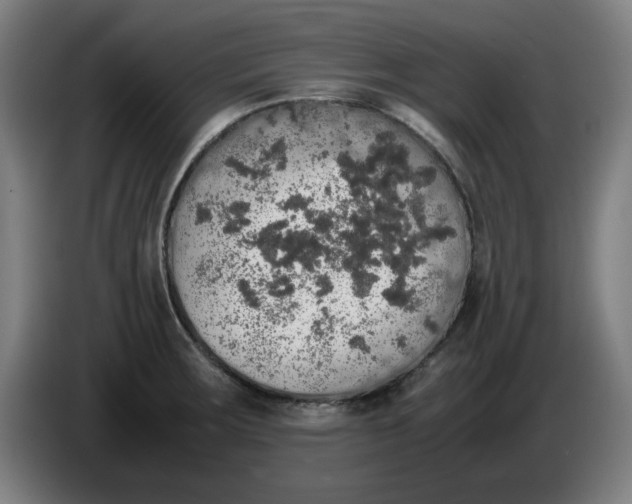 X0000085271283200703301846