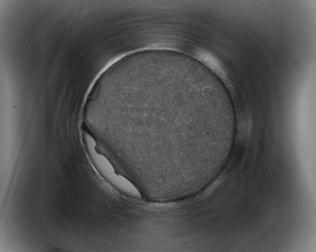 X0000085271284200703301846