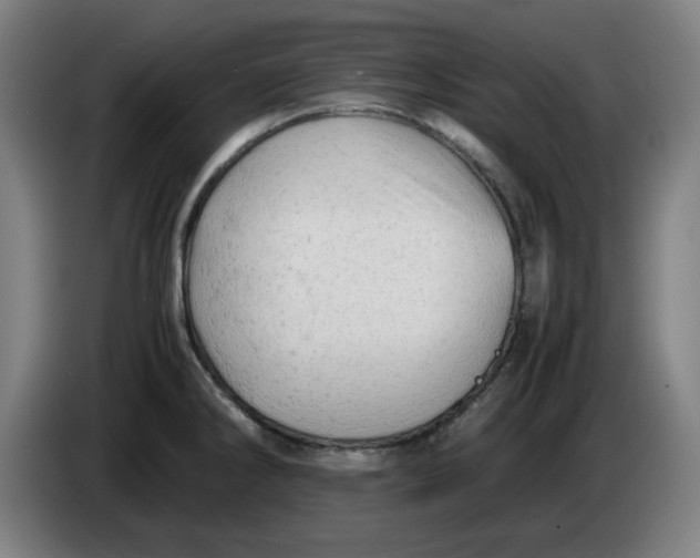 X0000085271286200703301846