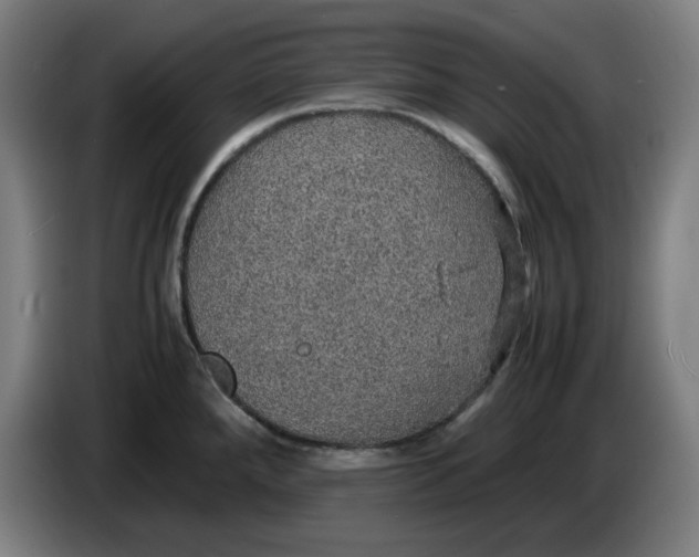 X0000085271288200703301846