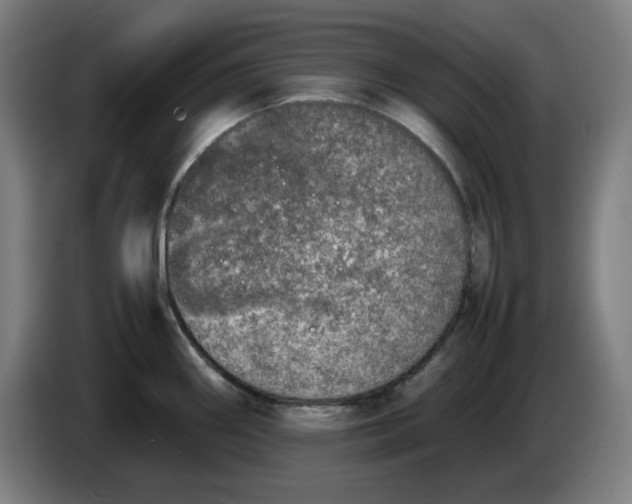 X0000085271290200703301846