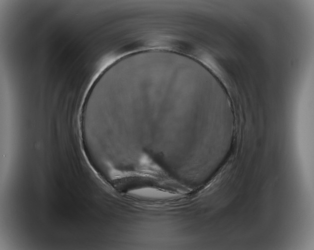 X0000085271291200703301846