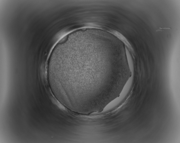 X0000085271292200703301846