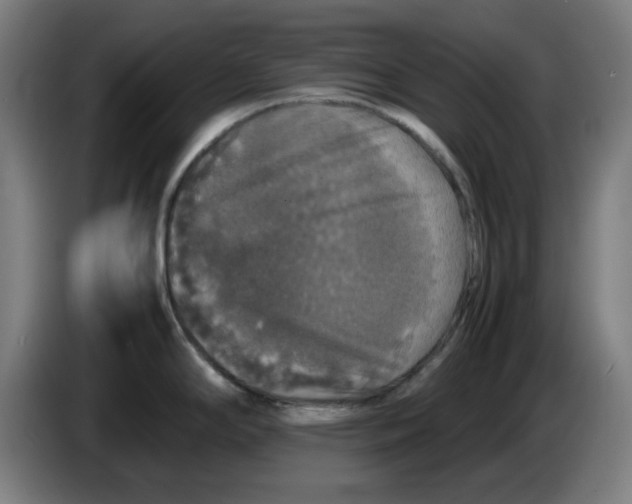 X0000085271294200703301846