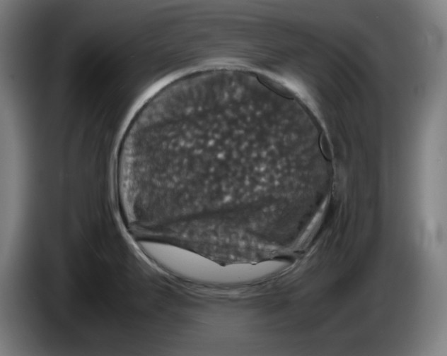 X0000085271295200703301846