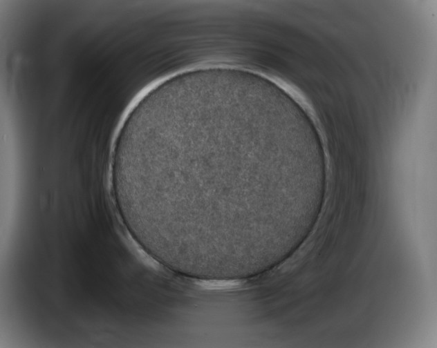 X0000085271296200703301846