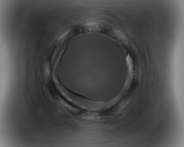 X0000085271298200703301845