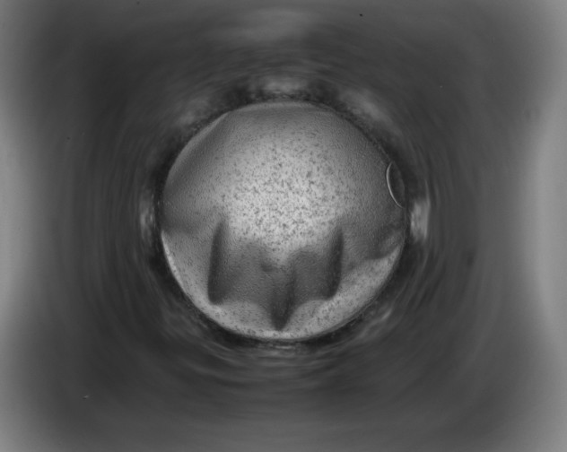 X0000085271299200703301845