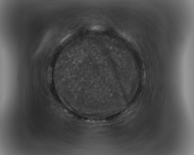 X0000085271301200703301845