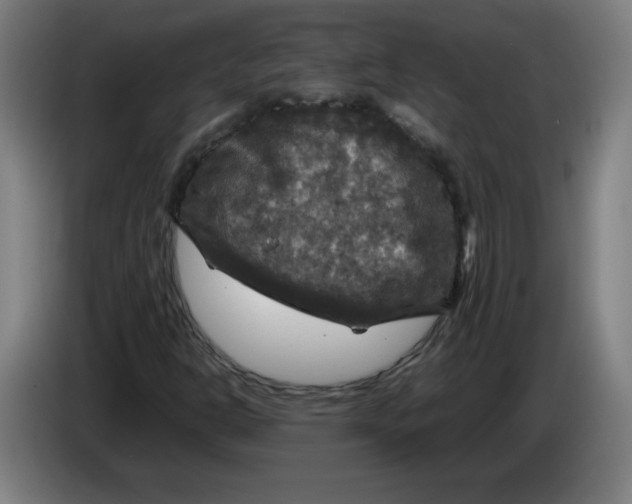 X0000085271302200703301845