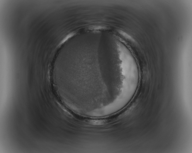 X0000085271305200703301845