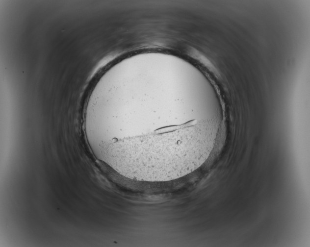 X0000085271308200703301845