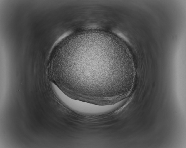 X0000085271309200703301846